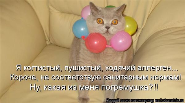 ����-������ �� www.RzhuNeMogu.ru � 48223