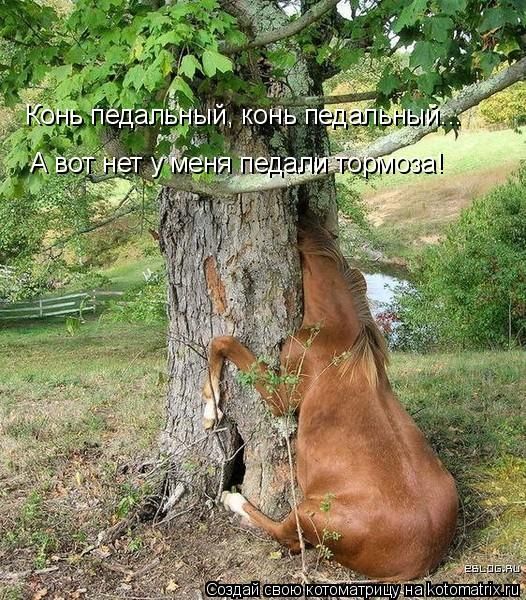 ����-������ �� www.RzhuNeMogu.ru � 48226