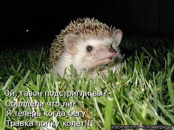 ����-������ �� www.RzhuNeMogu.ru � 48227