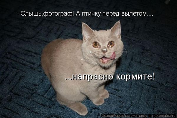 ����-������ �� www.RzhuNeMogu.ru � 48228