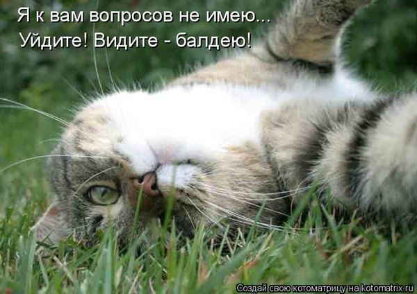 ����-������ �� www.RzhuNeMogu.ru � 48230