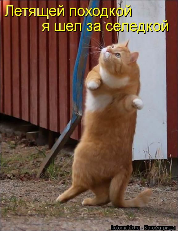 ����-������ �� www.RzhuNeMogu.ru � 48231