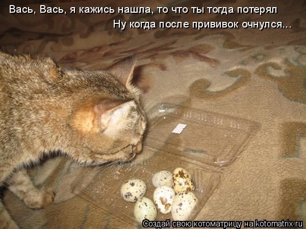 ����-������ �� www.RzhuNeMogu.ru � 48233