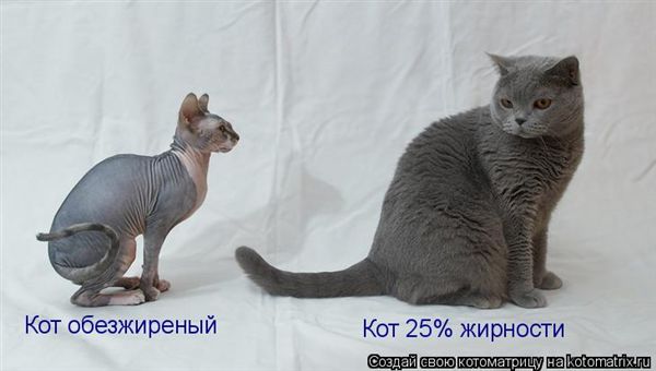 ����-������ �� www.RzhuNeMogu.ru � 48234