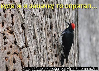 ����-������ �� www.RzhuNeMogu.ru � 48237