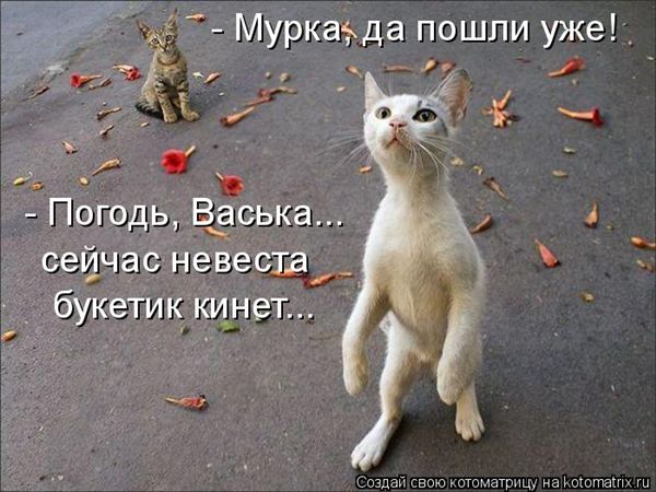 ����-������ �� www.RzhuNeMogu.ru � 48238