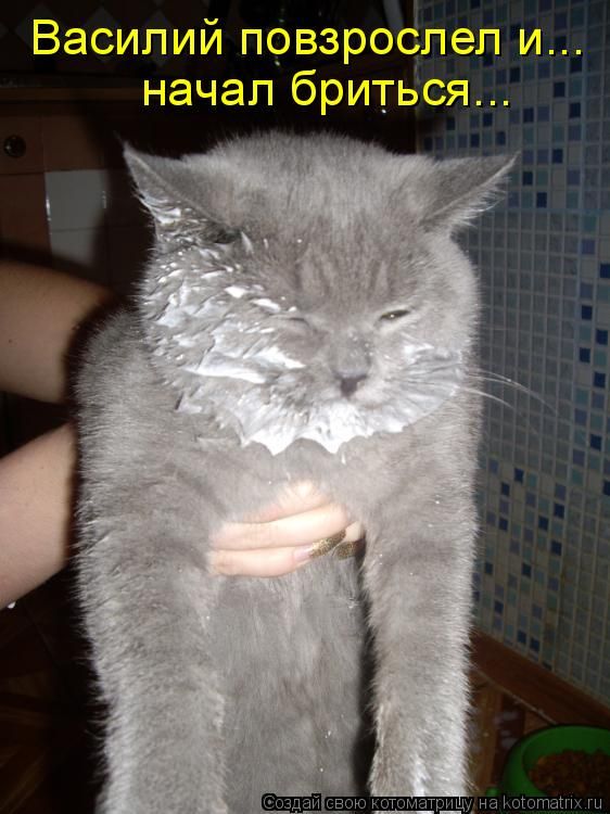 ����-������ �� www.RzhuNeMogu.ru � 48241