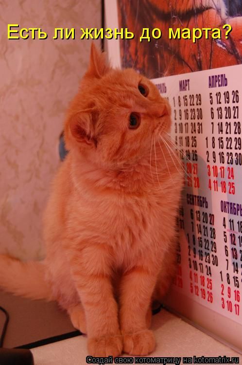 ����-������ �� www.RzhuNeMogu.ru � 48242