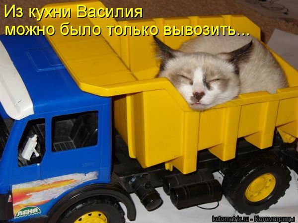 ����-������ �� www.RzhuNeMogu.ru � 48244