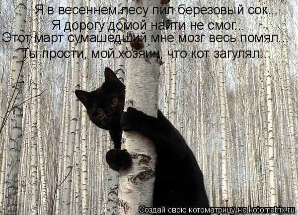 ����-������ �� www.RzhuNeMogu.ru � 48245