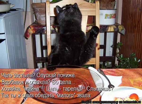 ����-������ �� www.RzhuNeMogu.ru � 48246