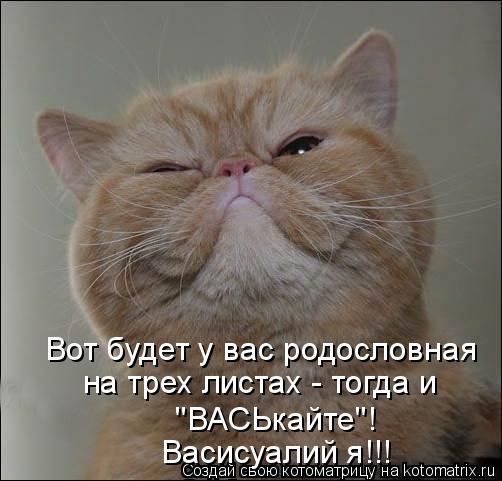 ����-������ �� www.RzhuNeMogu.ru � 48247