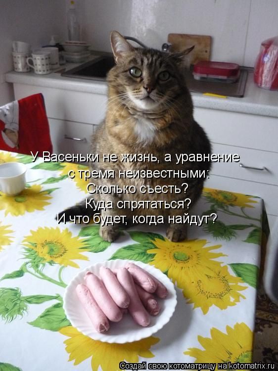 ����-������ �� www.RzhuNeMogu.ru � 48248