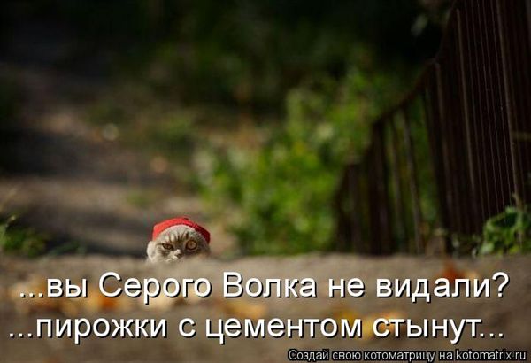 ����-������ �� www.RzhuNeMogu.ru � 48249