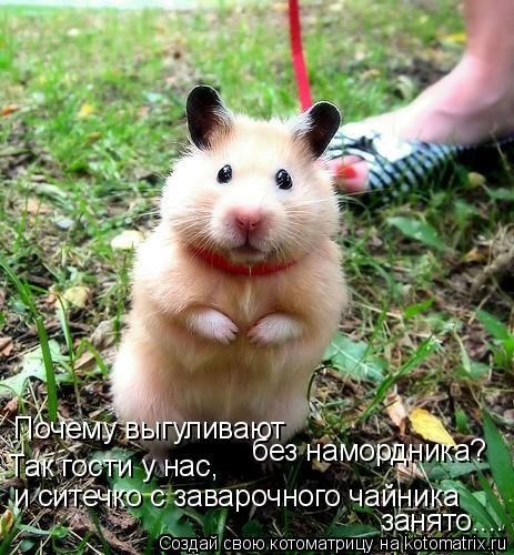 ����-������ �� www.RzhuNeMogu.ru � 48250