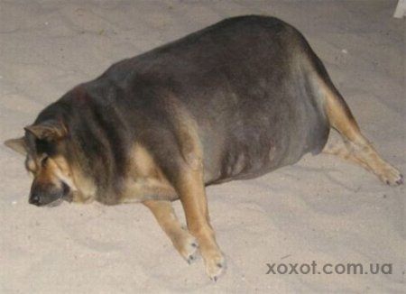 ����-������ �� www.RzhuNeMogu.ru � 48335